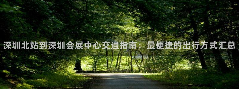 果博公司会员开户：深圳北站到深圳会展中心交通指南：最便捷的出行方式汇总