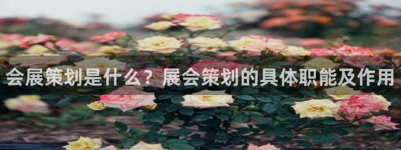 果博手机下载：会展策划是什么？展会策划的具体职能及作用
