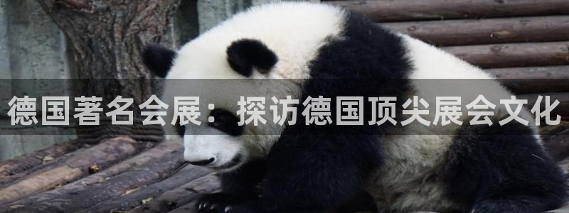 果博公司直属会员开户：德国著名会展：探访德国顶尖展会文化