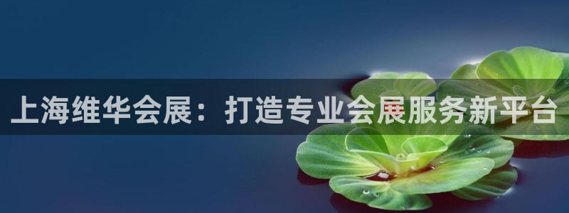 果博注册客服电话是多少号：上海维华会展：打造专业会展服务新平台