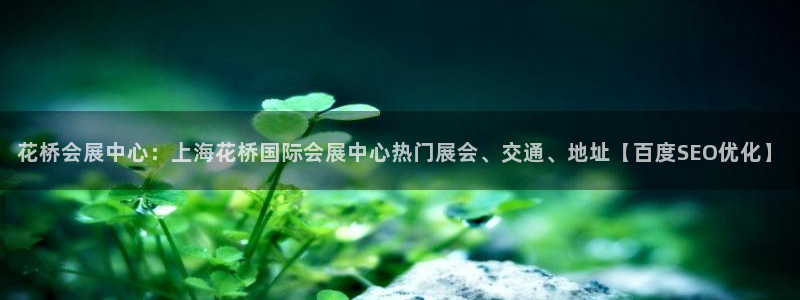 下载果博app：花桥会展中心：上海花桥国际会展中心热门展会、交通、地址【百度SEO优化】