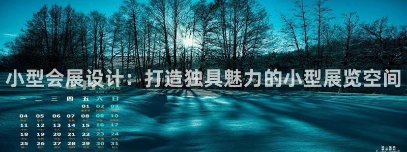 果博公司怎么开户：小型会展设计：打造独具魅力的小型展览空间