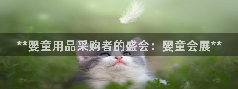 果博公司会员怎么开户：**婴童用品采购者的盛会：婴童会展**