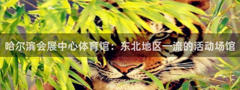 果博注册客服电话是多少：哈尔滨会展中心体育馆：东北地区一流的活动场馆