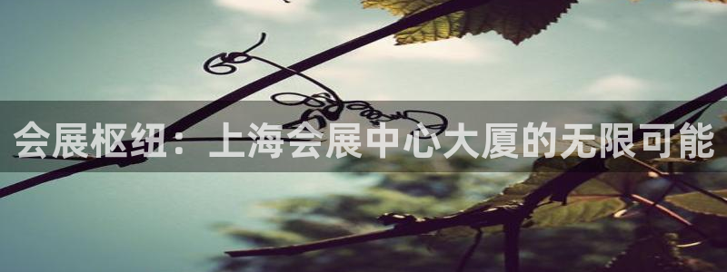 果博注册账号链接：会展枢纽：上海会展中心