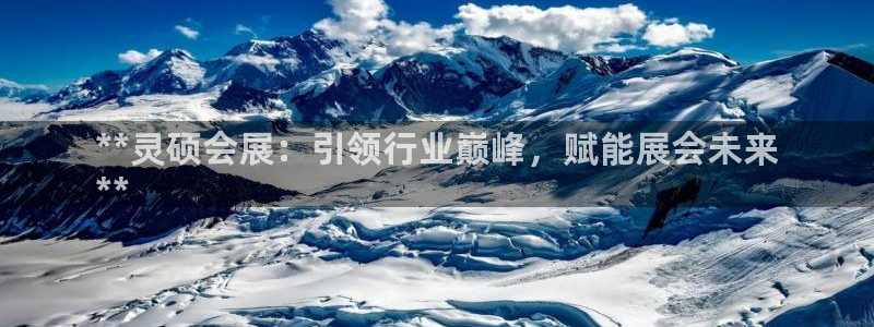 果博公司注册：**灵硕会展：引领行业巅峰