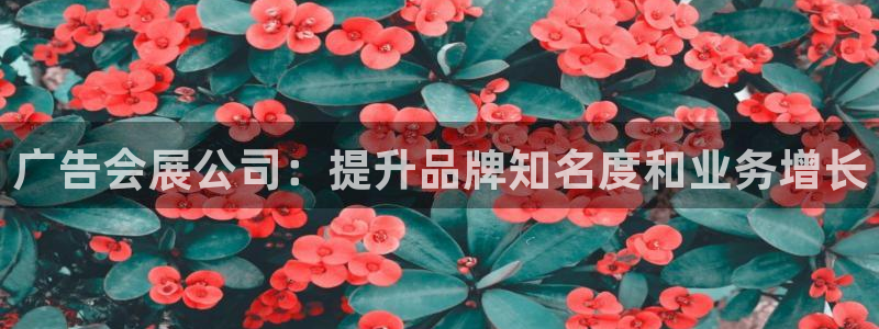 果博客服电话哪里找：广告会展公司：提升品