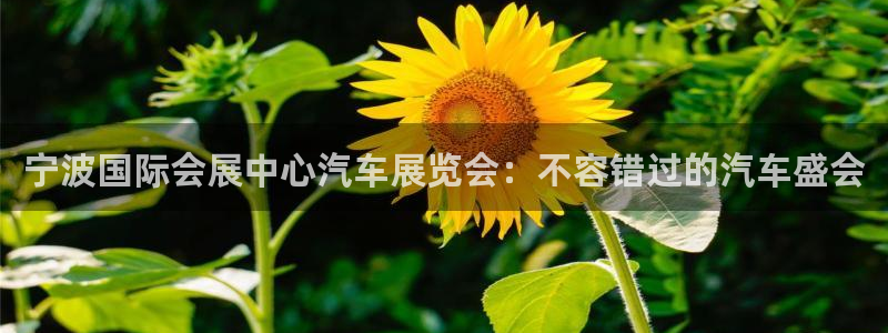 果博公司在线客服：宁波国际会展中心汽车展