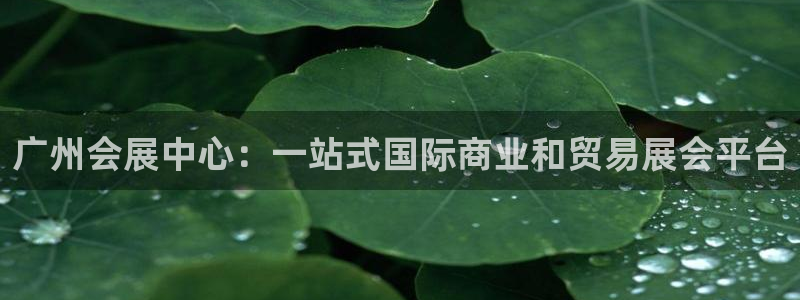 果博平台客服电话：广州会展中心：一站式国