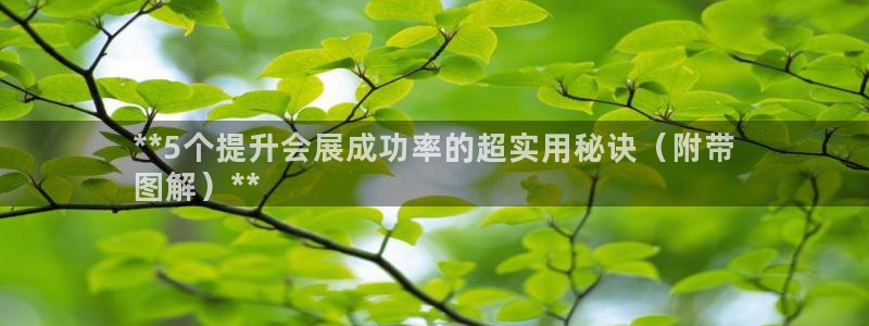 果博公司客服联系方式：**5个提升会展成功率的超实用秘诀（附带
图解）**