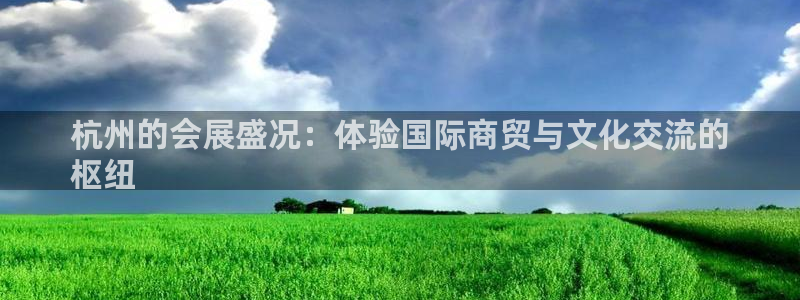 果博环保官网：杭州的会展盛况：体验国际商