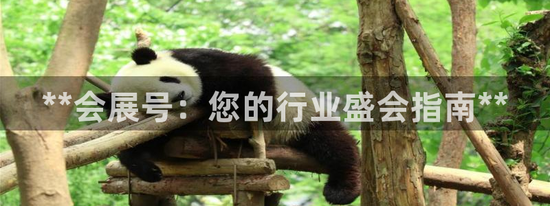 果博官方：**会展号：您的行业盛会指南**