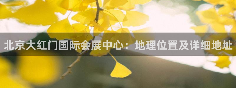 果博平台真实吗安全吗可靠吗：北京大红门国际会展中心：地理位置及详细地址