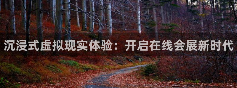 果博是怎么登录的：沉浸式虚拟现实体验：开启在线会展新时代
