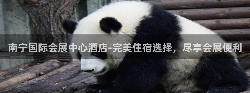 果博注册会员怎么注销：南宁国际会展中心酒
