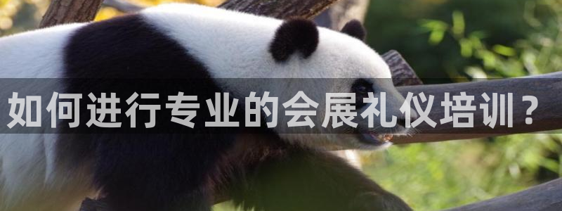 果博平台怎么下载?