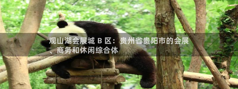 果博注册会员要钱吗：观山湖会展城 B 区