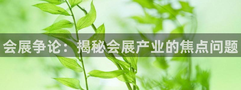 果博公司会员注册：会展争论：揭秘会展产业的焦点问题