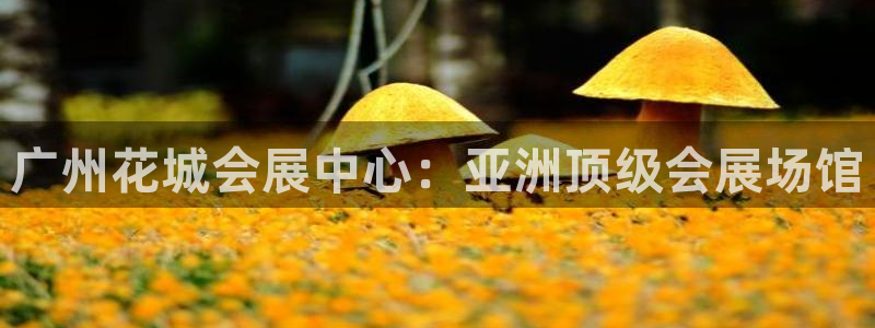 果博官网客服电话号码是多少：广州花城会展