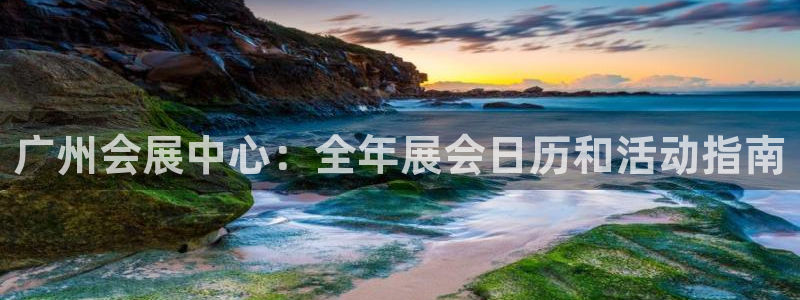 果博注册