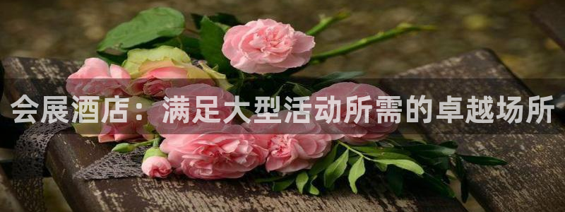 果博平台客服：会展酒店：满足大型活动所需的卓越场所