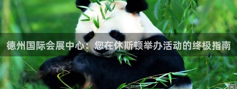 果博公司联系电话