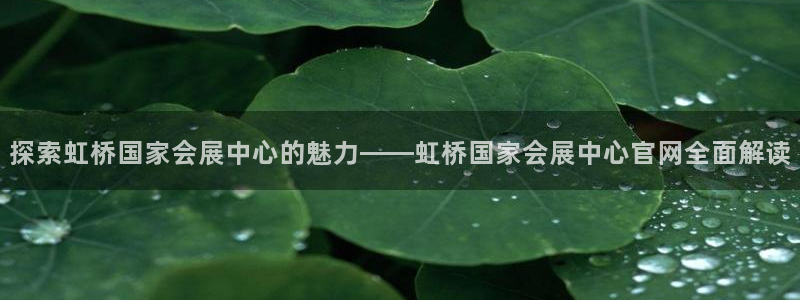 果博注册充值多少钱：探索虹桥国家会展中心