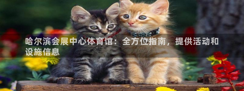 果博注册客服电话是多少号码：哈尔滨会展中心体育馆：全方位指南，提供活动和
设施信息