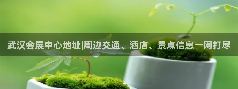 果博注册充值：武汉会展中心地址|周边交通、酒店、景点信息一网打尽