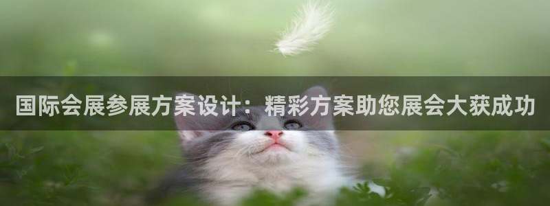 果博公司怎么注册会员：国际会展参展方案设计：精彩方案助您展会大获成功