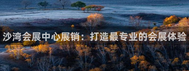 果博电话：沙湾会展中心展销：打造最专业的会展体验
