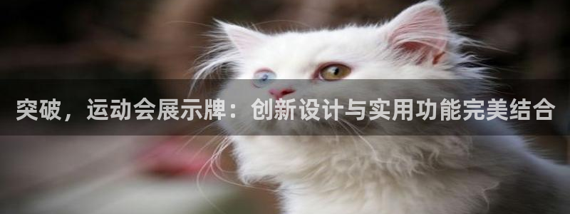 果博客服联系电话：突破，运动会展示牌：创新设计与实用功能完美结合
