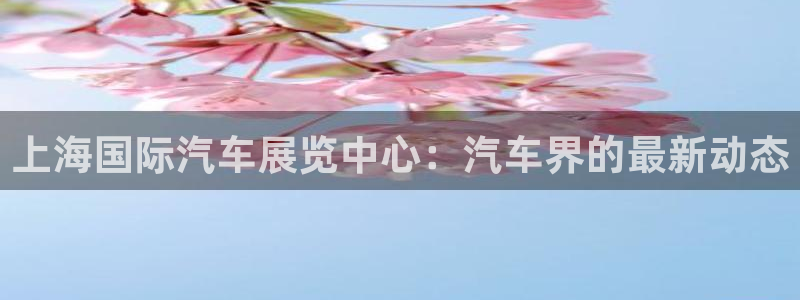 果博注册客服电话是多少：上海国际汽车展览