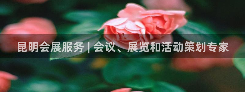 果博平台怎么下载?：昆明会展服务 | 会