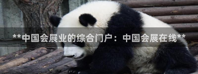 果博gbe168：**中国会展业的综合门户：中国会展在线**