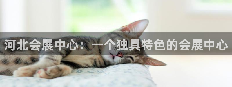 果博总台电话：河北会展中心：一个独具特色