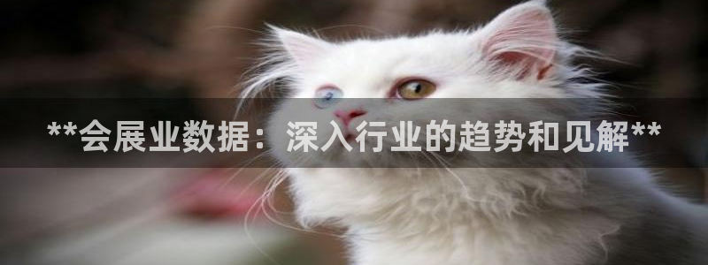 果博注册平台怎么注册账号：**会展业数据：深入行业的趋势和见解**