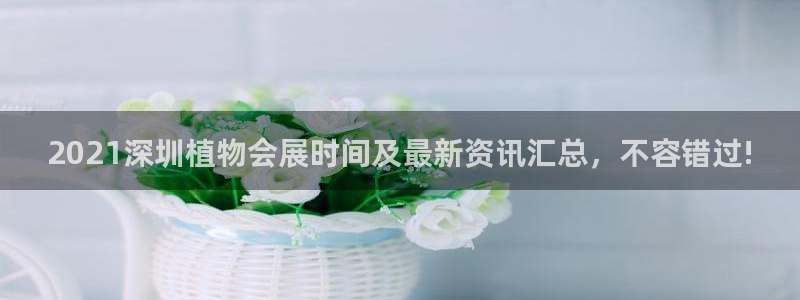 果博有假吗
