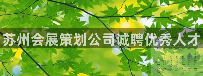 苹果电脑怎么下载博弈大师等软件：苏州会展