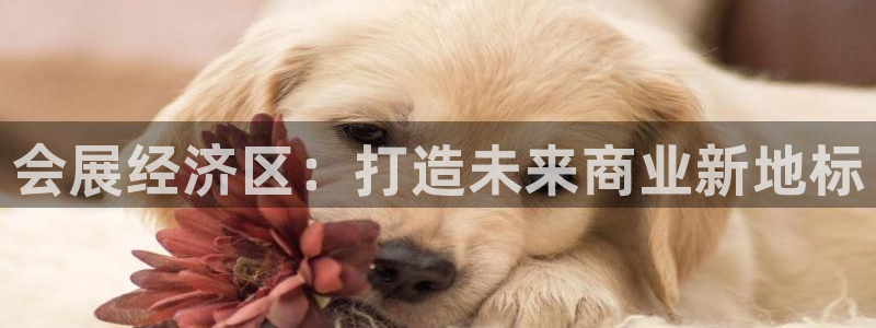 果博gbe168：会展经济区：打造未来商